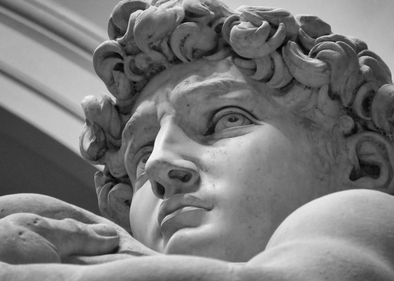 Der Kopf von Michelangelos berühmter David-Statue.